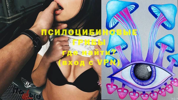 apvp Алексеевка