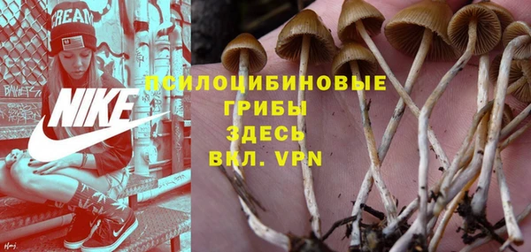 mdpv Переславль-Залесский