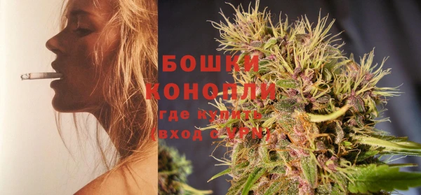 гашик Пересвет