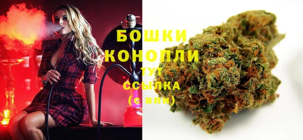 прущие грибы Арсеньев