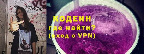прущие грибы Арсеньев