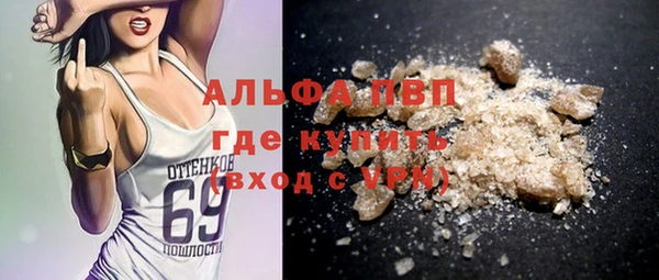 прущие грибы Арсеньев