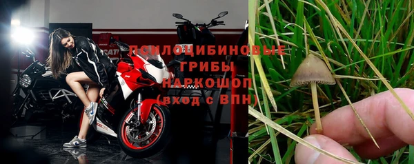 прущие грибы Арсеньев