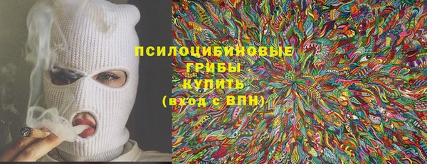 прущие грибы Арсеньев