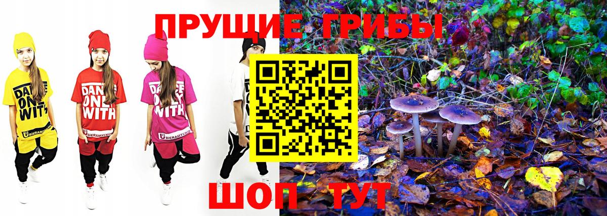 Саянск  Псилоцибиновые грибы Psilocybine cubensis  Вход с VPN 
