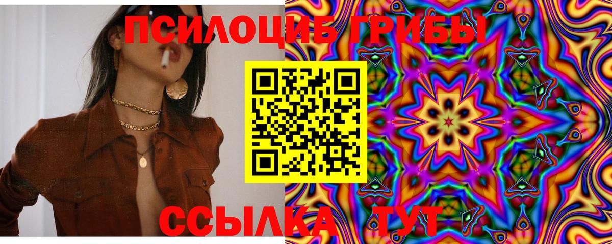 Псилоцибиновые грибы мицелий Саянск