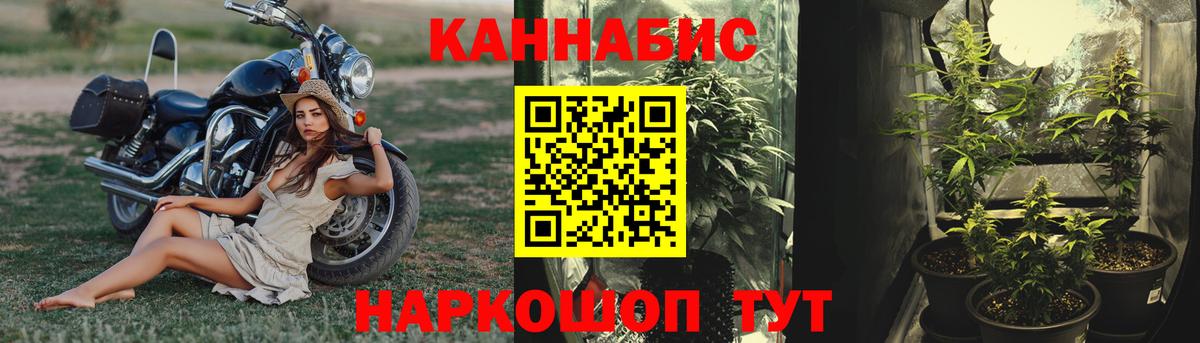 Марихуана планчик Саянск